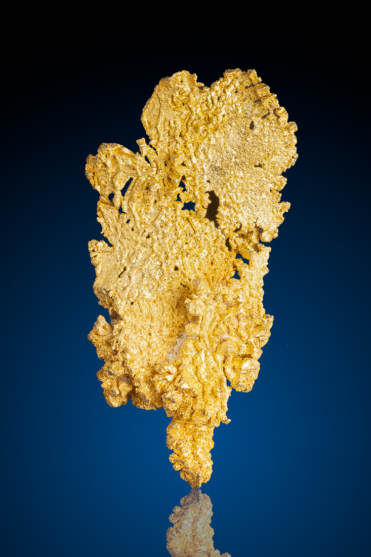 (image for) Outstanding Crystalized Leaf Gold from the Famous Round Mountain Gold Mine